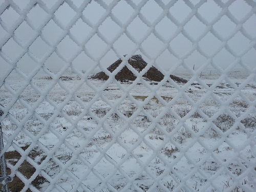 FrozenFence